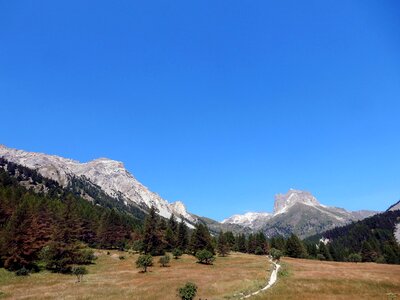 Trail mount thabor forest