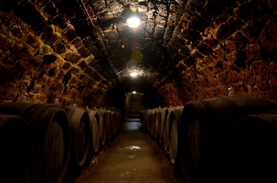 Hungary the wine cellar wine