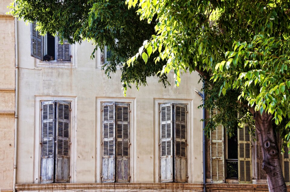 Bowever window building