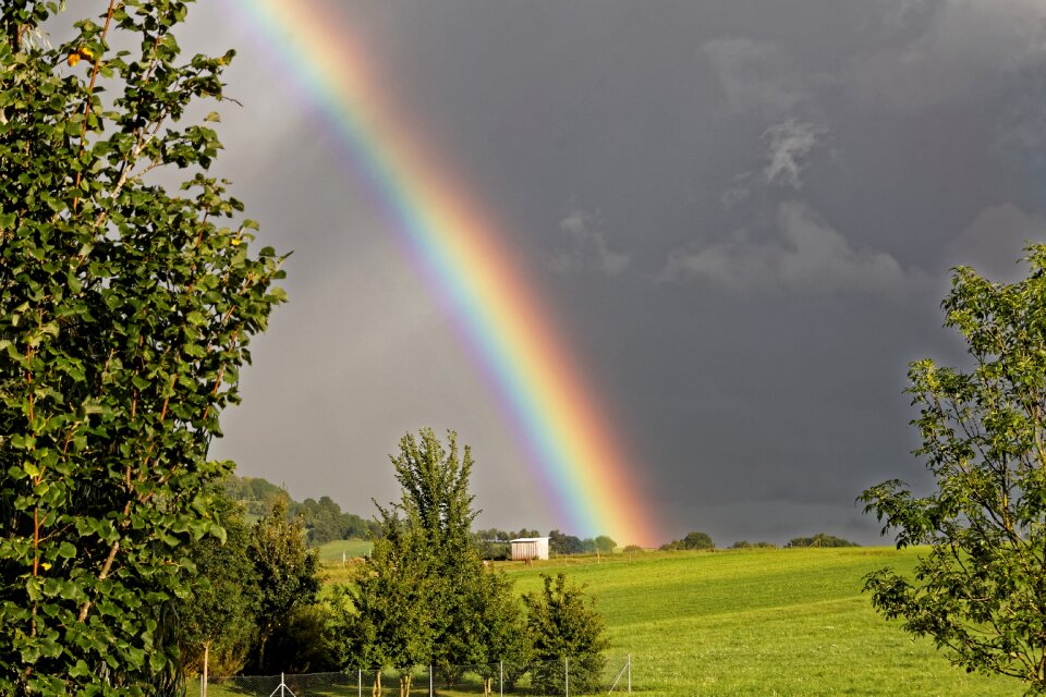Mood nature landscape