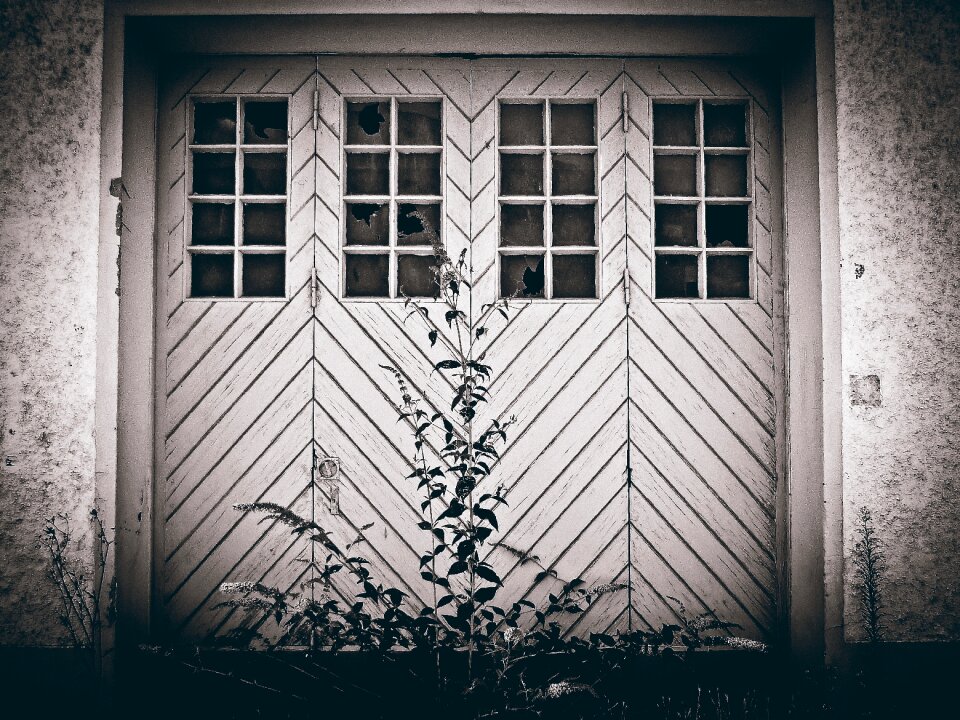 Old gate shabby old door