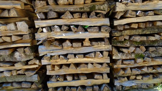 Growing stock log firewood stack