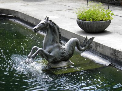 Horse fountain