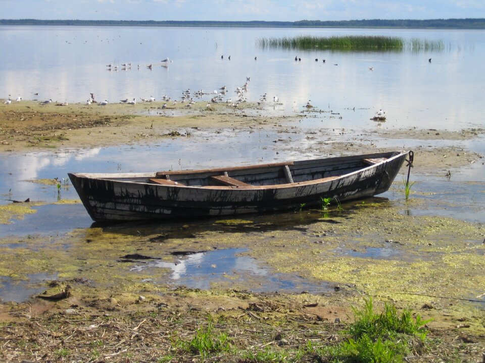 Appeasement boat tranquility