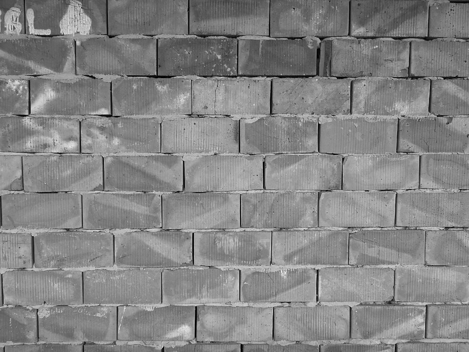 Structure shell black and white
