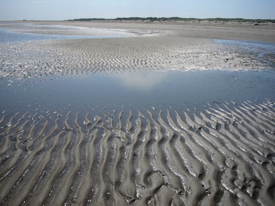 Pattern ocean floor symmetrical