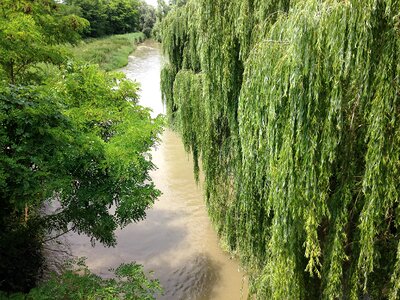 Channel po river willow