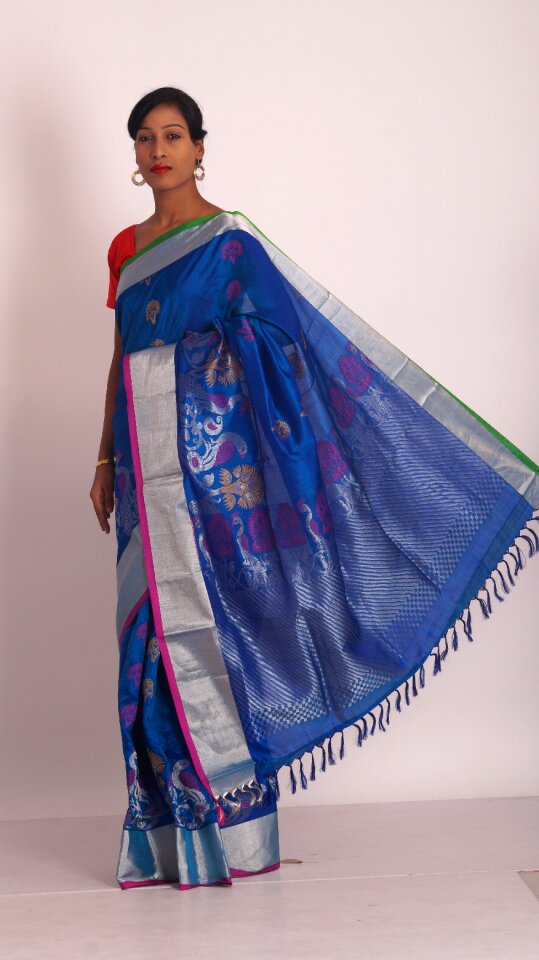 Indian clothing traditional