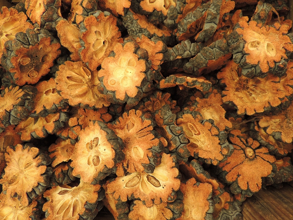 Texture pattern open