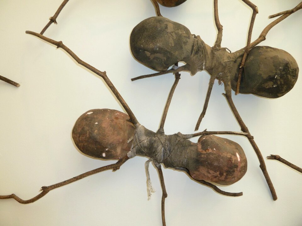 Wooden ants ant art