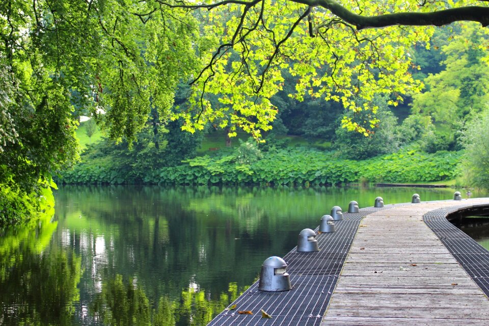 Water nature mirroring