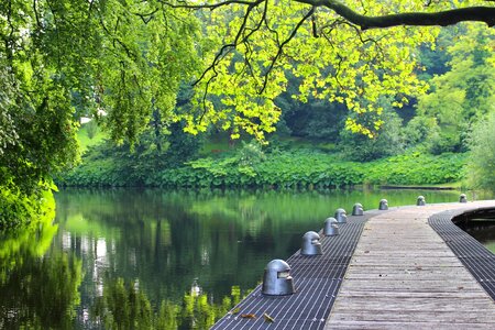 Water nature mirroring