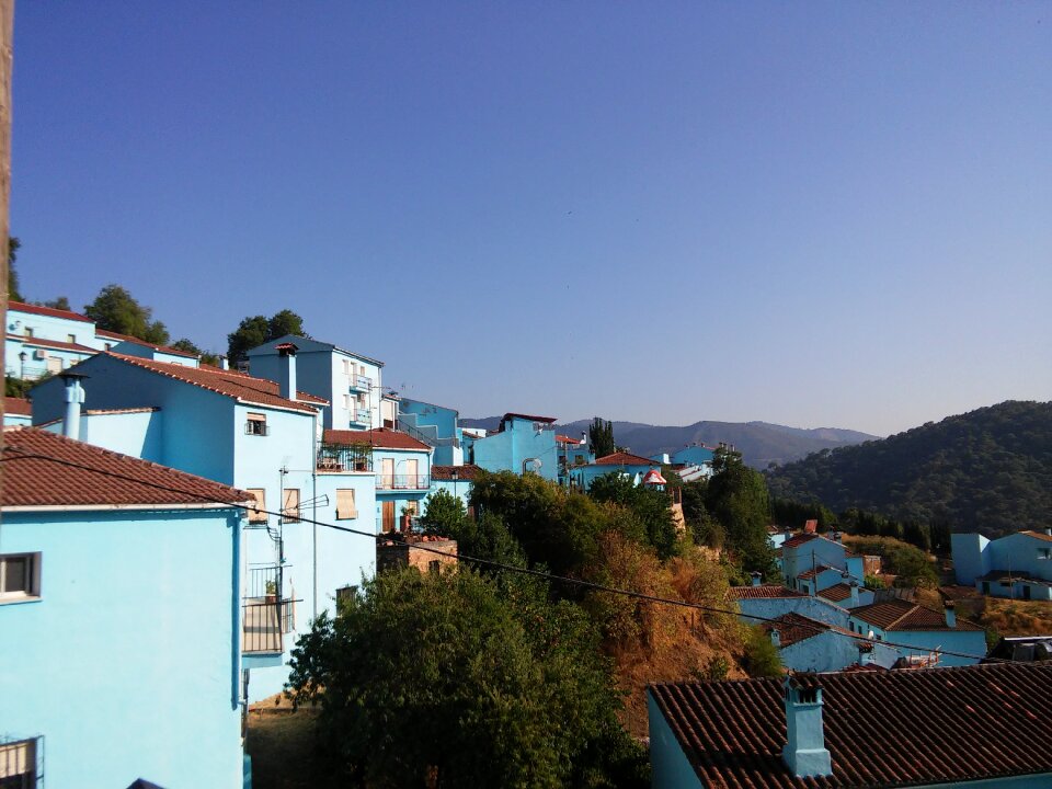Blue smurf picturesque