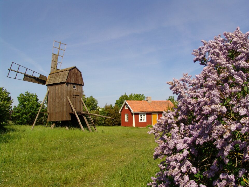 Summer pictures swedish summer oland