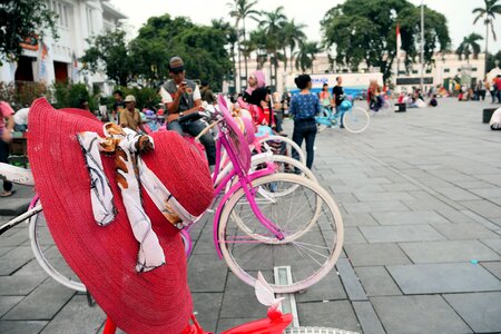 Bicycle wheel lady