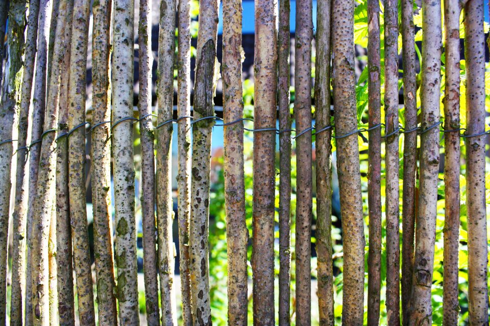 Wood on line pattern