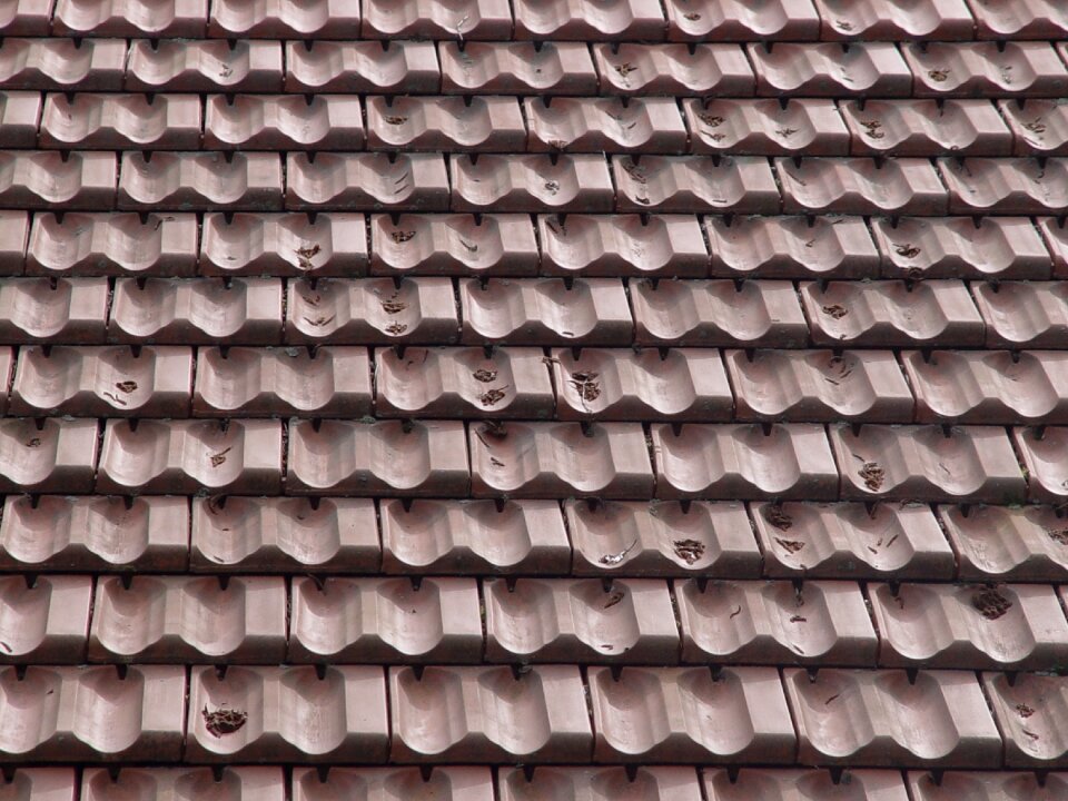 Roof roofing cladding red