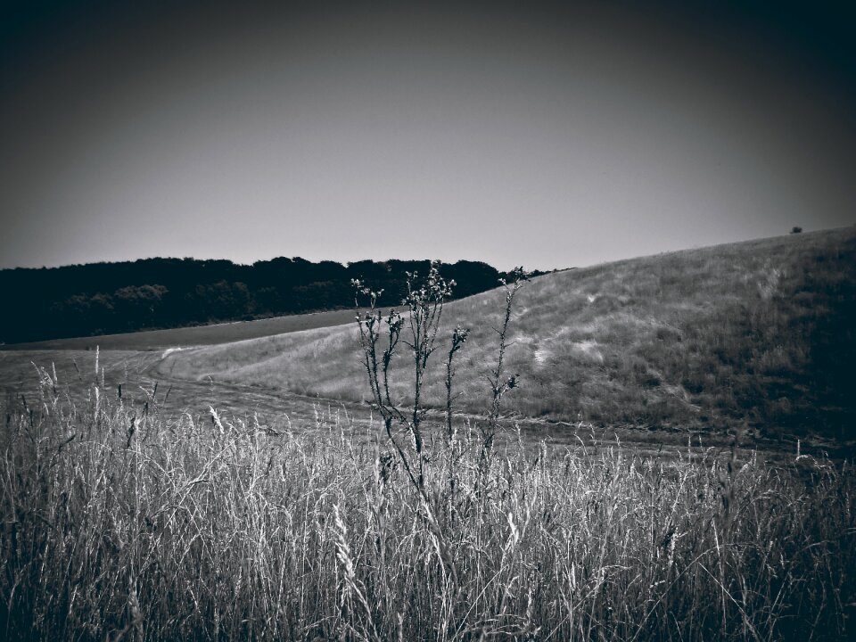 Landscape vision wide