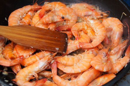 Eat atlantic north sea