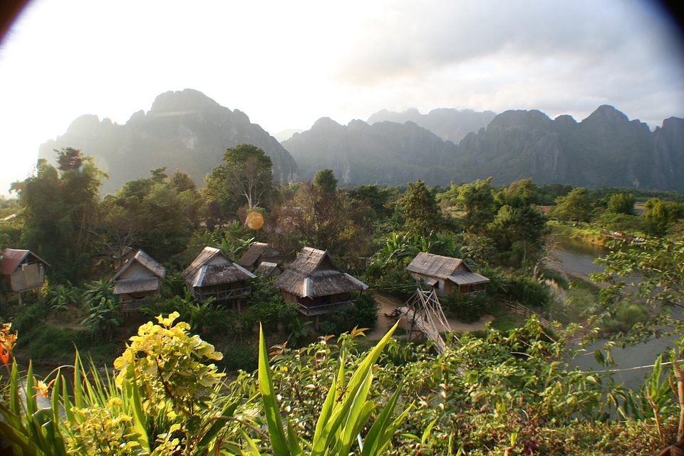 Nature asian tropical