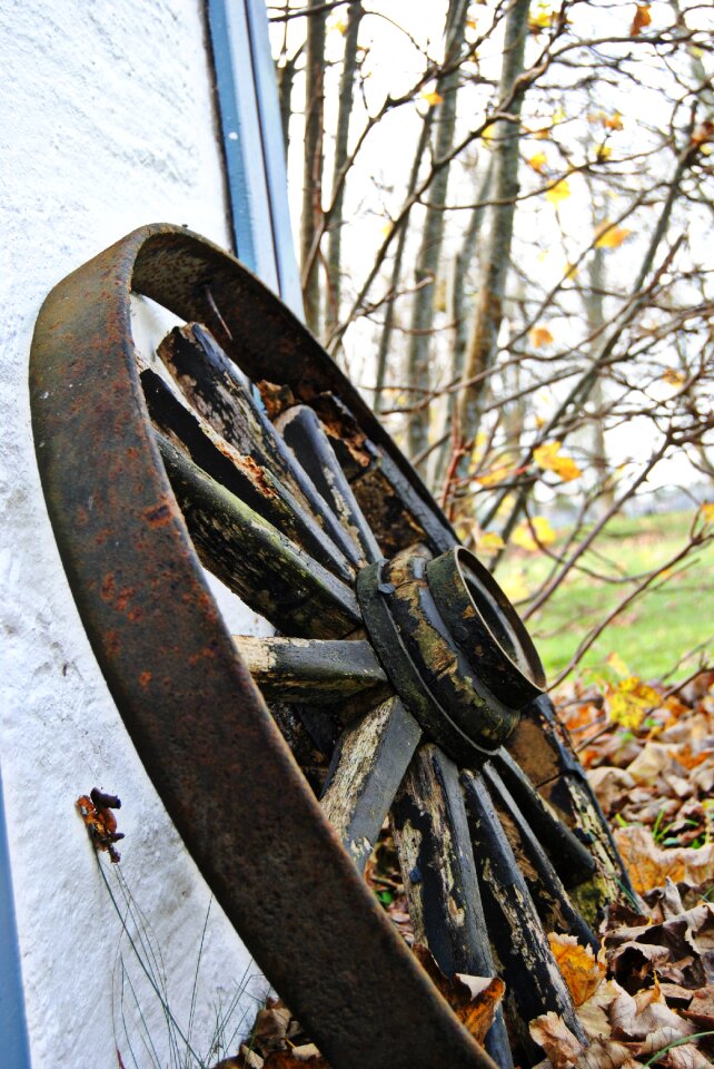 Wheel tires country