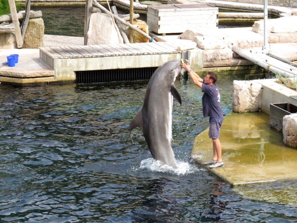 Show zoo demonstration