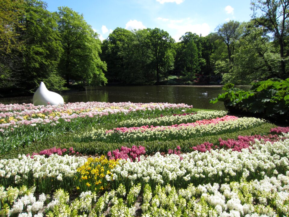 Arrangement lake spring