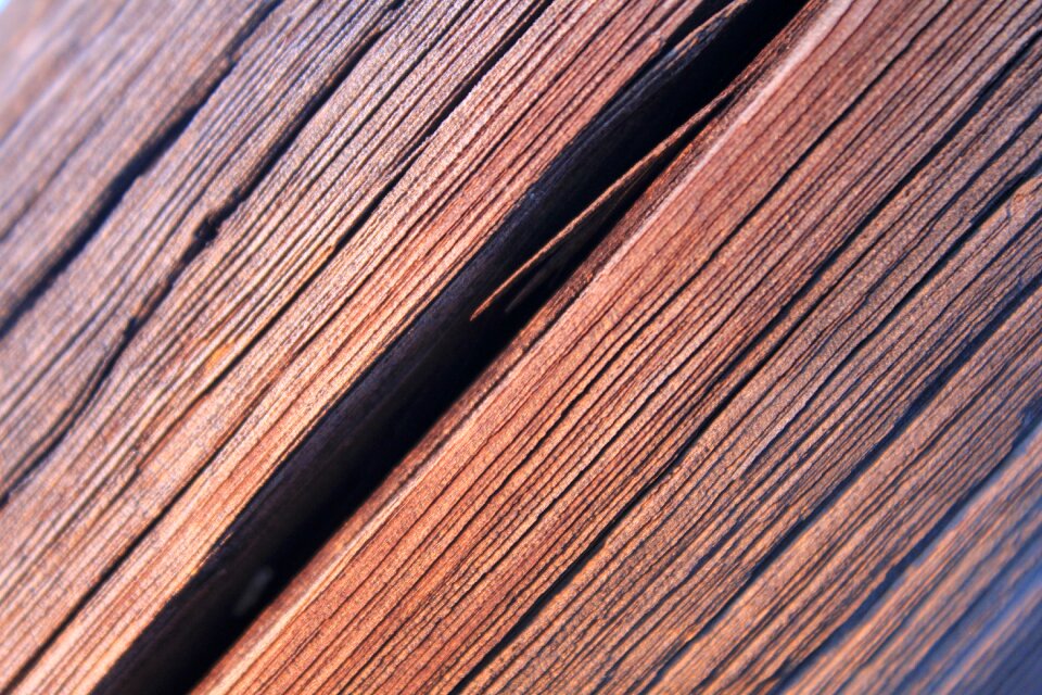 Texture old hardwood