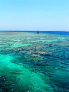 Diving vacations coral reef