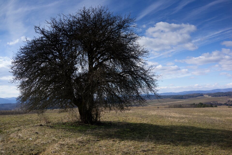 Country dry grass the clouds