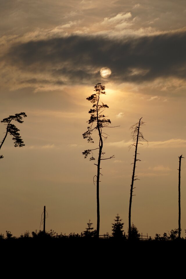 Sun clouds evening