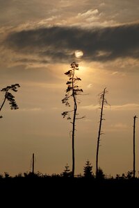 Sun clouds evening