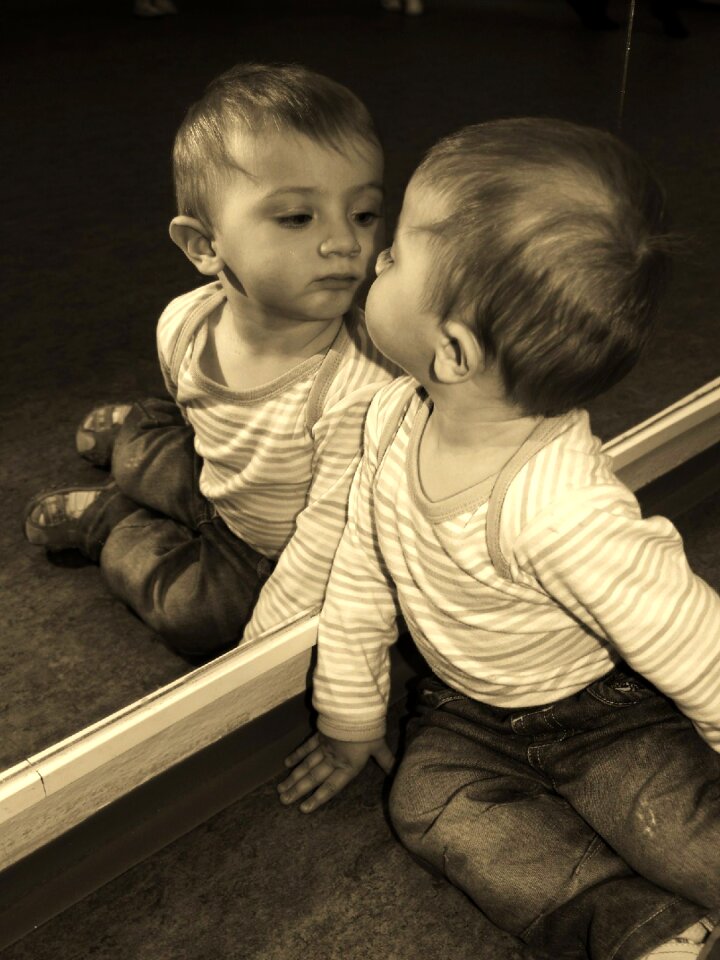 Mirror reflection cognition