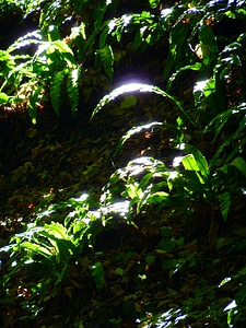 Sun light shadow