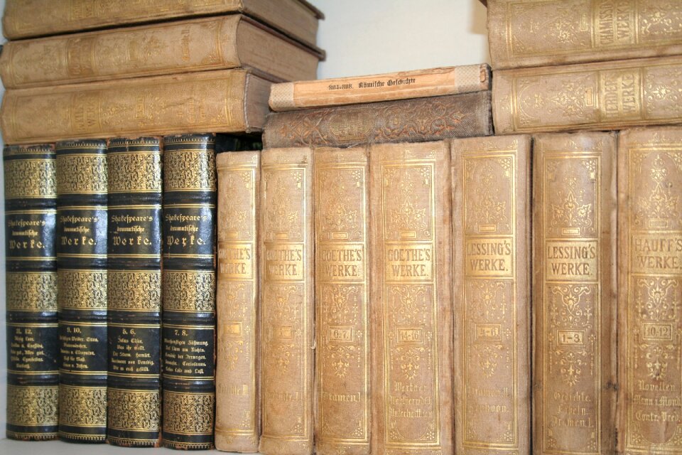 Old books bookcase spine