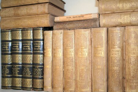 Old books bookcase spine
