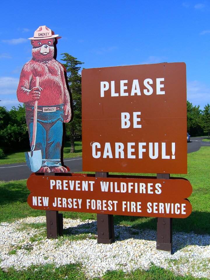 New jersey icon character
