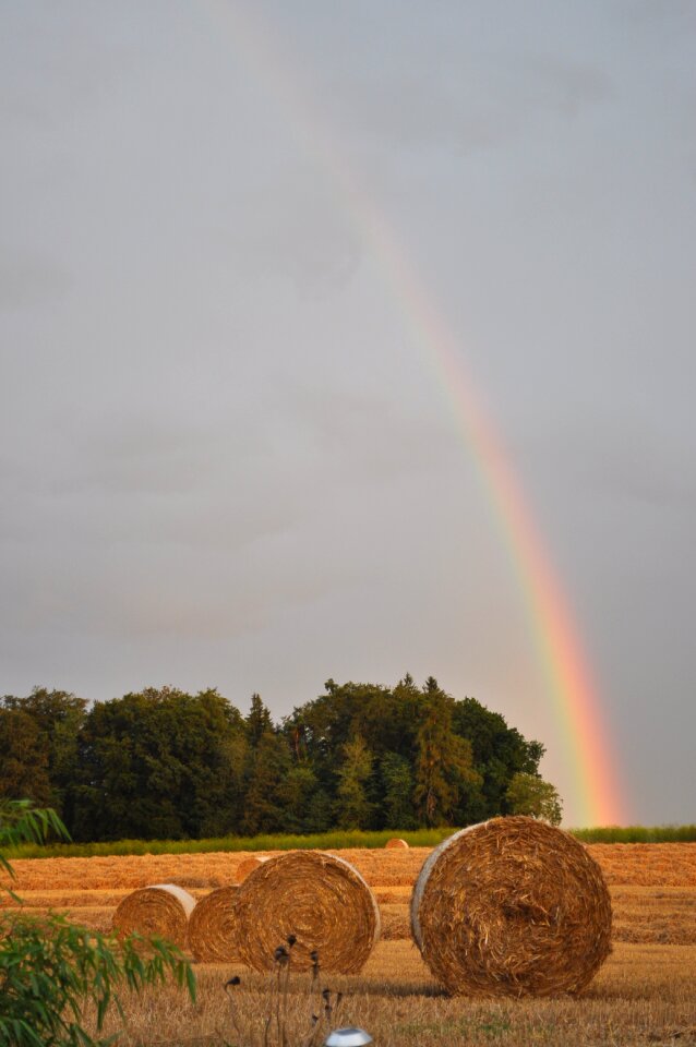 Stro landscape harvest