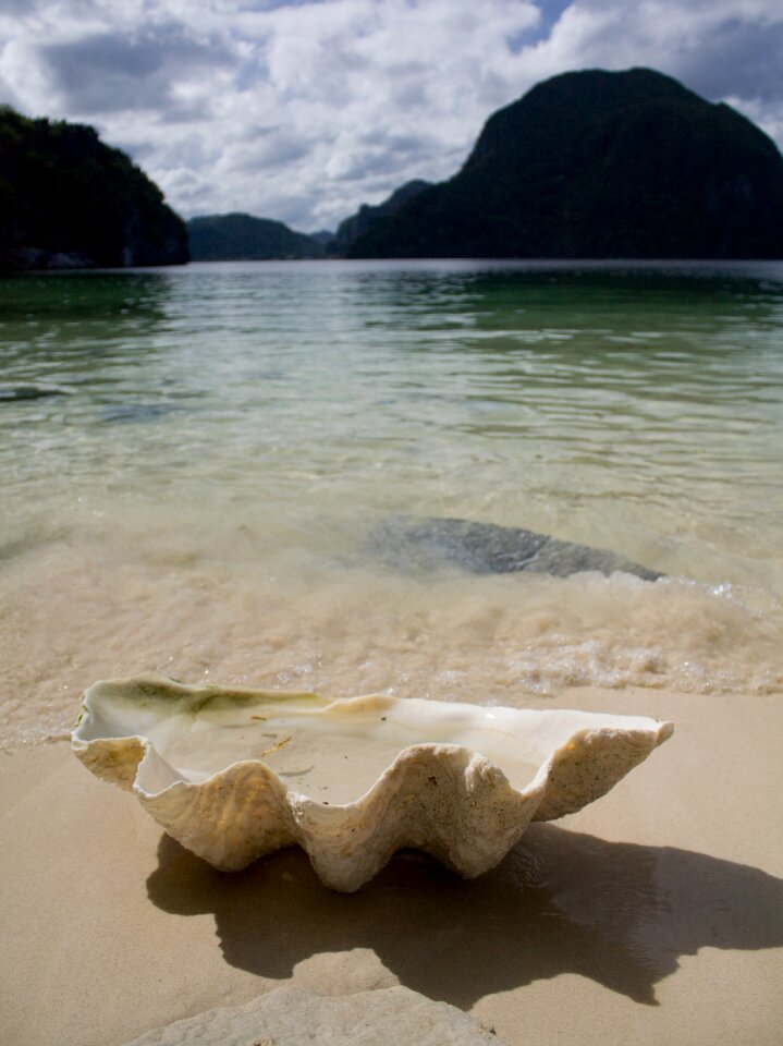 Beach sand lagoon