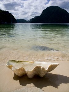 Beach sand lagoon