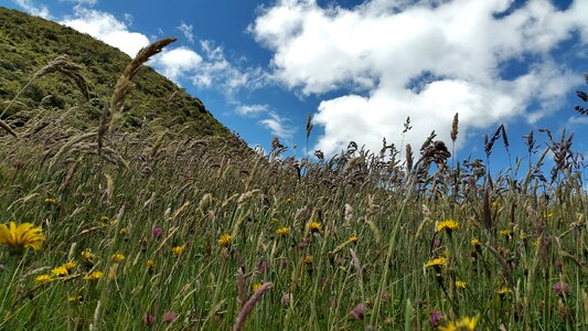 Landscape summer hill