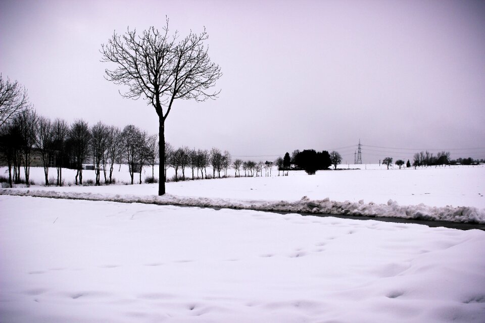 Landscape winter cold