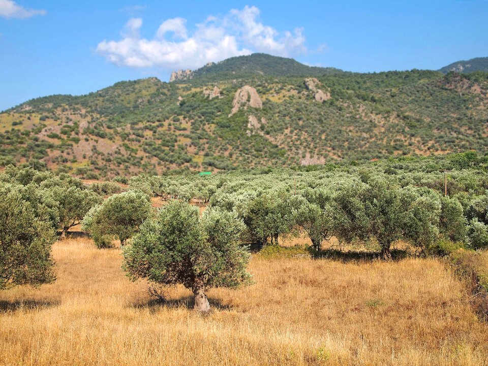 Sky greece anaxos