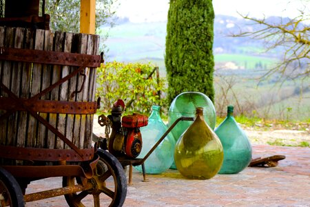 Farm vineyard