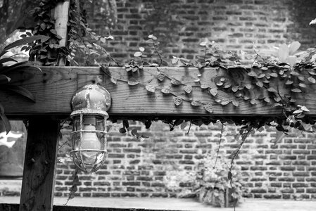 Foliage household artistic conception