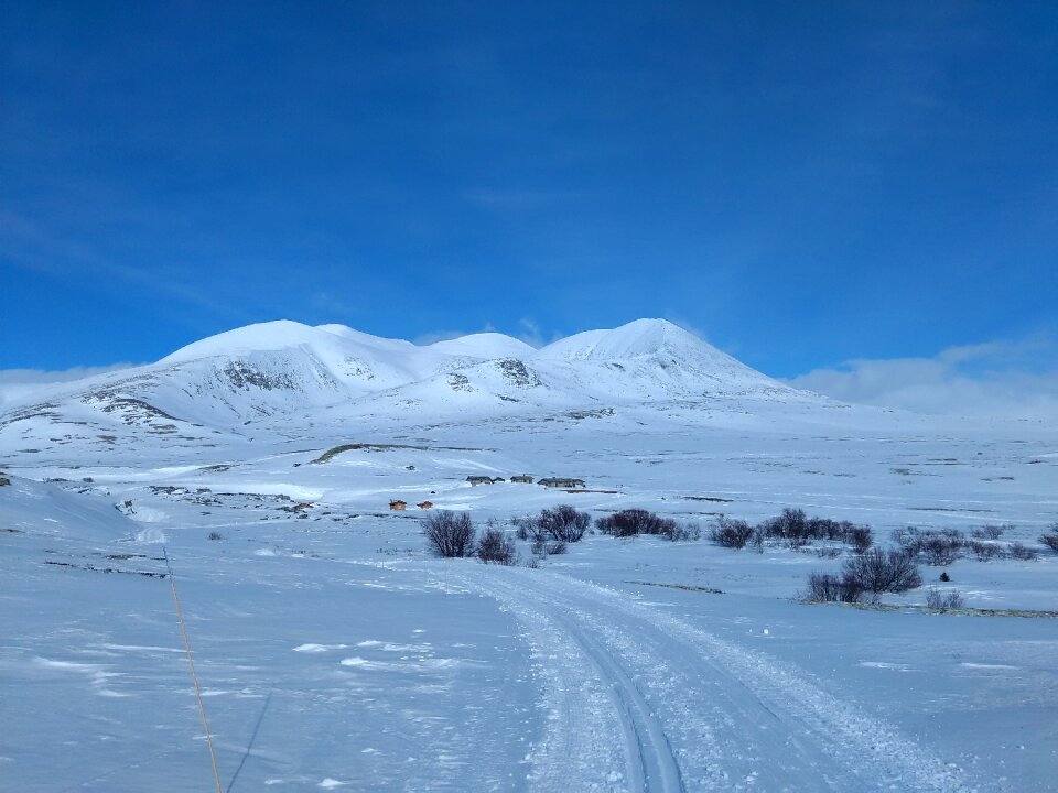 National park norway rondane