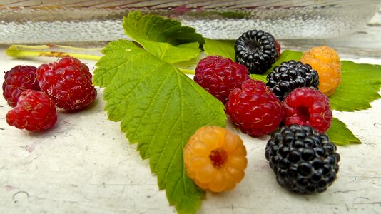 Raspberry berry still life photo