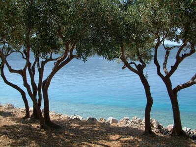 Sea adriatic sea mediterranean