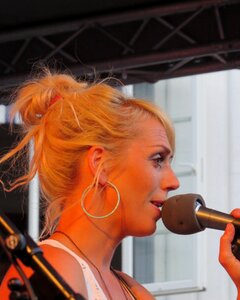 Entertainment microphone concert photo