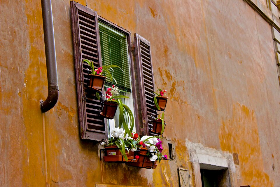 Home container